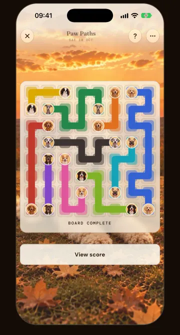 Paw Paths: coloured paths joining matching dog portraits across a grid